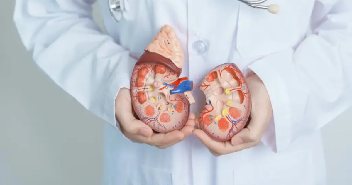 Hidronefroz (Böbrek Genişlemesi) Ne Zaman Ameliyat Gerektirir?
