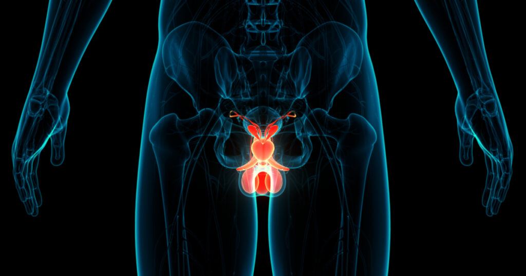 Hidrosel Nedir? Çocuklarda Testis Şişliği Ne Anlama Gelir?