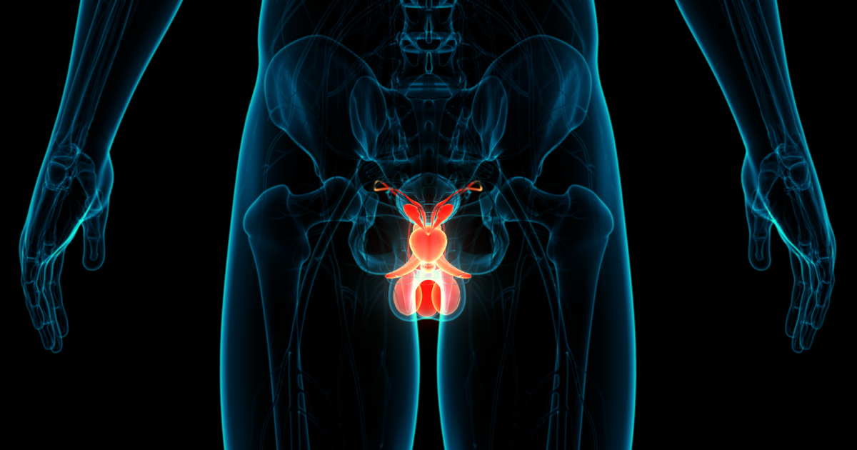 Hidrosel Nedir? Çocuklarda Testis Şişliği Ne Anlama Gelir?