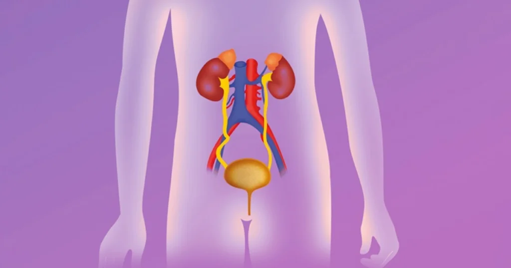 Böbrek Reflüsünün Tanısı Nasıl Koyulur?