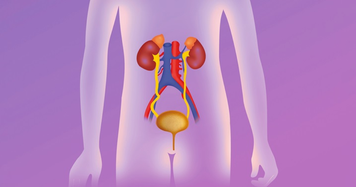 Böbrek Reflüsünün Tanısı Nasıl Koyulur?
