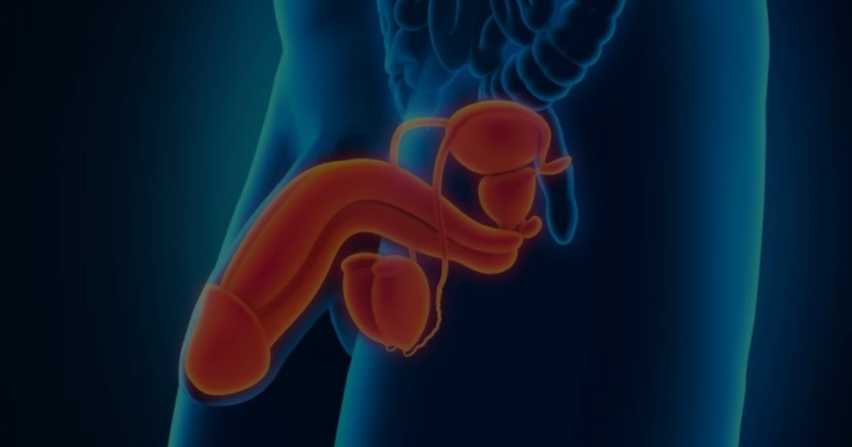 Çocuklarda Penis Eğriliği Olur mu?