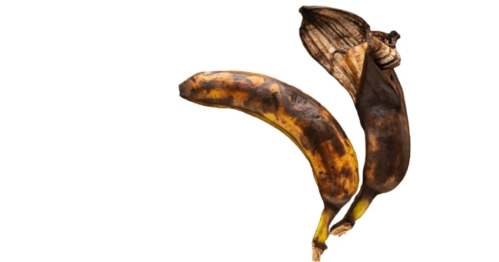 Sünnet İdrar Yolu Enfeksiyonu Riskini Azaltır mı?